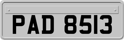 PAD8513
