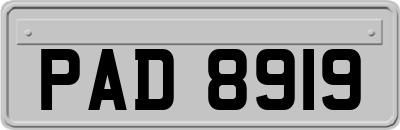 PAD8919