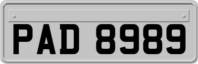 PAD8989