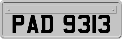 PAD9313
