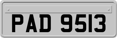 PAD9513