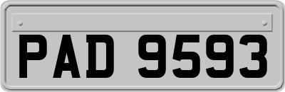 PAD9593