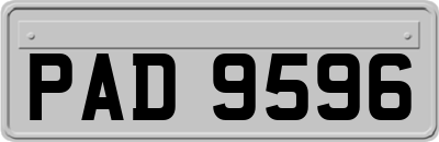 PAD9596