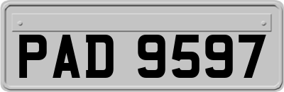 PAD9597