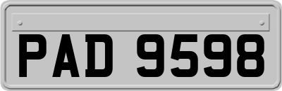 PAD9598