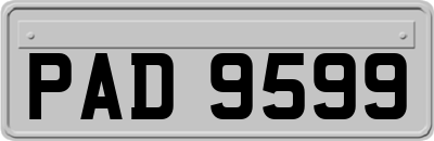 PAD9599