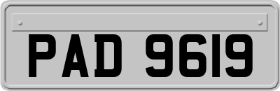 PAD9619
