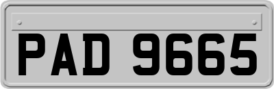 PAD9665