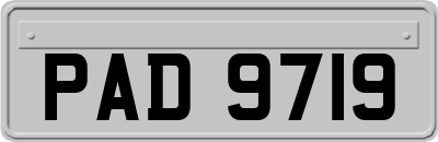 PAD9719