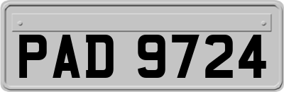 PAD9724