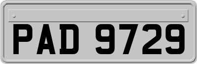 PAD9729