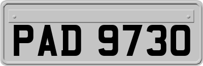 PAD9730
