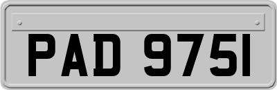 PAD9751