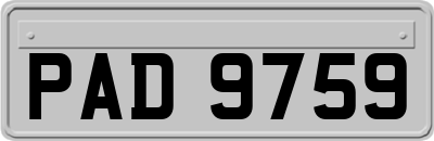 PAD9759