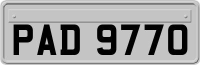 PAD9770
