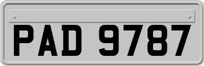 PAD9787