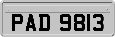 PAD9813