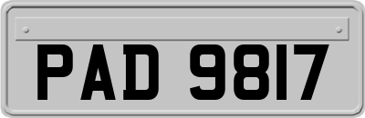 PAD9817
