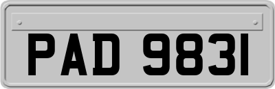 PAD9831