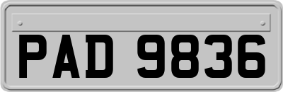 PAD9836