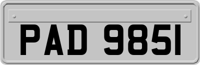 PAD9851
