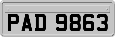 PAD9863