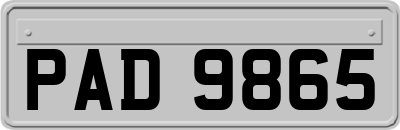 PAD9865