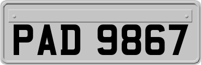 PAD9867