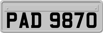 PAD9870