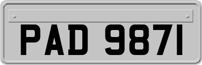 PAD9871