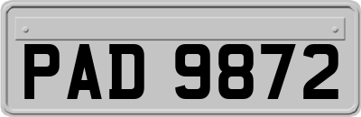 PAD9872