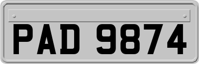 PAD9874
