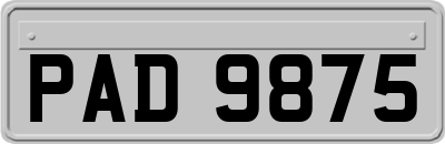 PAD9875