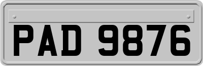 PAD9876