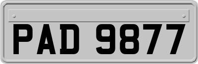 PAD9877