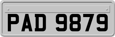PAD9879