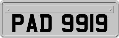 PAD9919