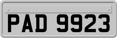 PAD9923