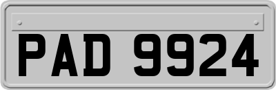 PAD9924