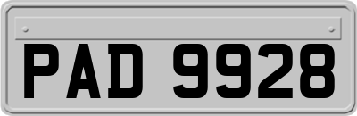 PAD9928