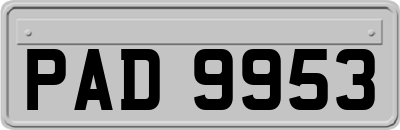 PAD9953
