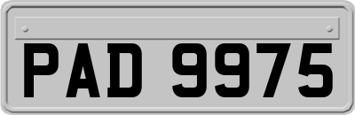 PAD9975