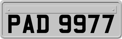 PAD9977