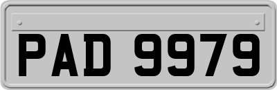 PAD9979
