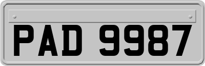 PAD9987