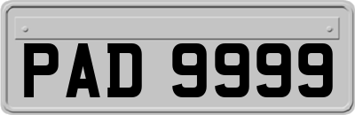 PAD9999