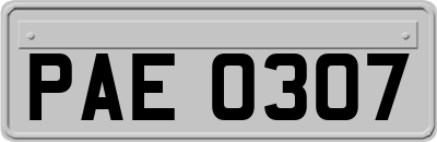 PAE0307
