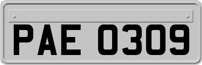 PAE0309
