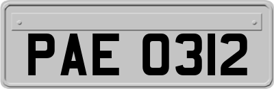 PAE0312