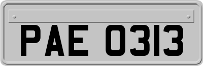 PAE0313